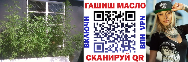 мега зеркало  закладка  Урень  shop как зайти  Дистиллят ТГК THC oil 